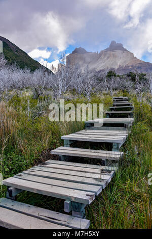 Cuerno Auftraggeber und dem Valle Frances, Torres del Paine Nationalpark. Patagonien, Chile Stockfoto