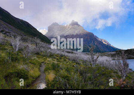 Cuerno Auftraggeber und dem Valle Frances, Torres del Paine Nationalpark. Patagonien, Chile Stockfoto