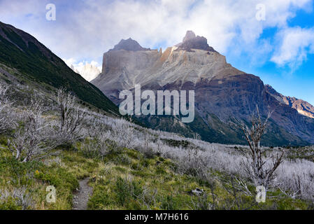 Cuerno Auftraggeber und dem Valle Frances, Torres del Paine Nationalpark. Patagonien, Chile Stockfoto