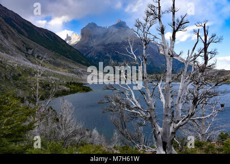 Cuerno Auftraggeber und dem Valle Frances, Torres del Paine Nationalpark. Patagonien, Chile Stockfoto