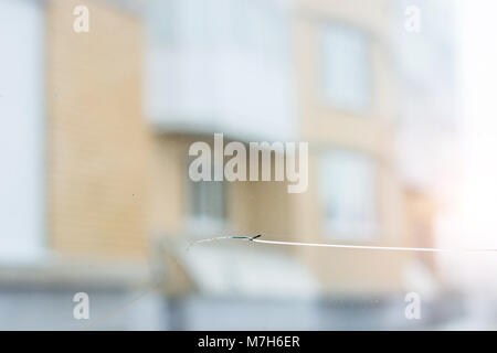 Gebrochene Glas mit Crack auf der Windschutzscheibe von Auto. Grauer Hintergrund der Verkehr im Hintergrund verschwommen Stockfoto