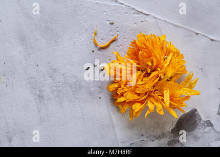 Motley Gras auf Licht strukturierten Hintergrund, Nahaufnahme, geringe Tiefenschärfe, selektiver Fokus, Makro. Alternative Medizin. Wellness natürliches Konzept. Dayspa Stockfoto