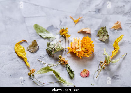 Motley Gras auf Licht strukturierten Hintergrund, Nahaufnahme, geringe Tiefenschärfe, selektiver Fokus, Makro. Alternative Medizin. Wellness natürliches Konzept. Dayspa Stockfoto