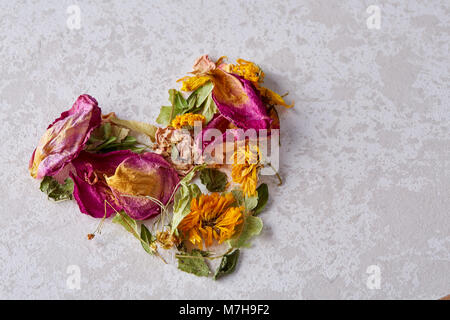 Zusammensetzung der herzförmigen Blüten auf weißem Hintergrund, Nahaufnahme, Overhead, selektiver Fokus, flach. Kreative Anordnung aus verschiedenen s Stockfoto