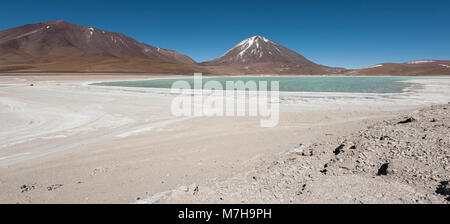 Laguna Verde ist ein hochkonzentrierter Salt Lake in der Fauna der Anden Eduardo Avaroa National Park am Fuße der Licancabur Vulkan - Bolivien Stockfoto