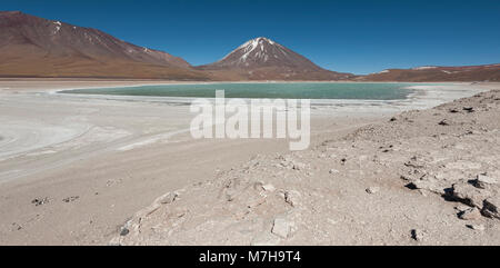 Laguna Verde ist ein hochkonzentrierter Salt Lake in der Fauna der Anden Eduardo Avaroa National Park am Fuße der Licancabur Vulkan - Bolivien Stockfoto