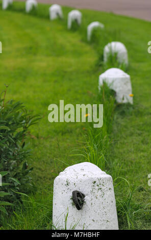 Post und Kette Zaun an der Seite von einer Einfahrt eine beliebte Zierpflanzen in Gärten. Leere Platz für die Beschriftung. Selektive konzentrieren. Säulen Stockfoto