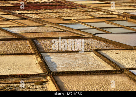 Salinas de Janubio, Lanzarote, Kanarische Inseln, Spanien Stockfoto