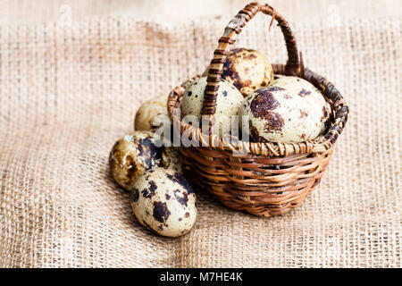 Wachteleier in einem kleinen Weidenkorb Stockfoto