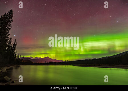 Die Nordlichter über die Athabasca River in Jasper National Park, Alberta, Kanada. Stockfoto