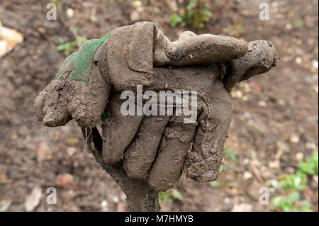 Folgen der Gartenarbeit in extrem schweren Lehm lehmiger Erde, schwere Gartenarbeit Gabel in Erde bedeckt und Schlammigen, schmutzige zusammengebacken in Schlamm Schlamm Stockfoto