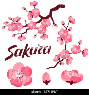 Japanische Sakura Eingestellt von Zweigniederlassungen und stilisierten Blumen. Objekte zur Dekoration, Design auf Werbung, Broschüren, Banner, flayers Stock Vektor