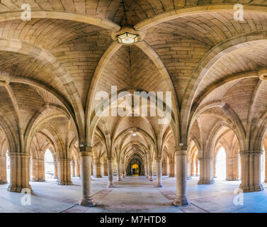 Anzeigen von Klöstern zwischen der Vierecke an der Universität Glasgow, Schottland, Vereinigtes Königreich Stockfoto
