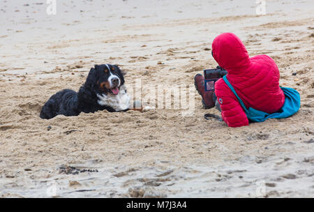 Bournemouth, Dorset, Großbritannien. 11. März 2018. UK Wetter: Grau bewölkten Tag am Strand von Bournemouth. Berner Sennenhund hat Spaß beim Spielen in den Sand, während Besitzer ein Foto Fotografie nimmt. Credit: Carolyn Jenkins/Alamy leben Nachrichten Stockfoto