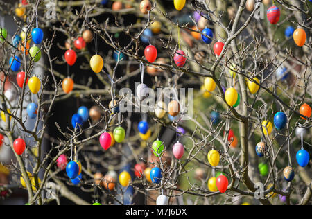 11 März 2018, Deutschland, Lebus: Zahlreiche bunte Ostereier hängen sie an einen Baum im Garten. Mit Temperaturen bis zu 12 Grad und viel Sonne Sonntag präsentiert sich von seiner besten Seite in Berlin und Brandenburg. Foto: Patrick Pleul/dpa-Zentralbild/dpa Stockfoto