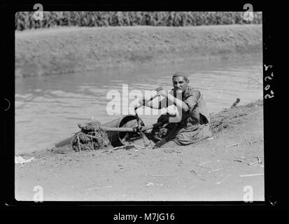 Landwirtschaft in Ägypten. Primitive Bewässerung. Close-up, Methode, Wasser aus den Kanälen durch Spiralschlauch LOC 16336 matpc. Stockfoto