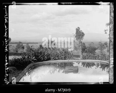 Kenia Kolonie. Nyeri District. Blick Richtung Mount Kenia aus dem Outspan Hotel LOC 17599 matpc. Stockfoto