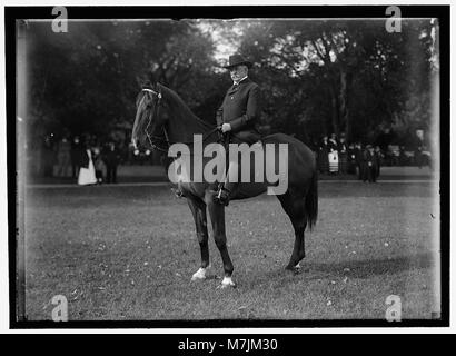 Meilen, NELSON APPLETON. LT. GEN., USA G.A.R. PARADE LCCN 2016866584 Stockfoto