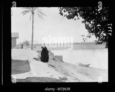 Irak. Kufa. (An den Ufern des Euphrat). Einst ein wichtiger Moslemischen (d. h., Muslim) Zentrum des Lernens. Ein Fluss Euphrat Szene LOC 16148 matpc. Stockfoto