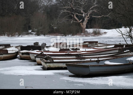 Hohl Teich im Schnee, Epping Forest, London, Vereinigtes Königreich Stockfoto