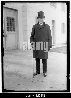 Levi Parsons Morton diente als US-Repräsentant, Minister in Frankreich, Vizepräsident und Gouverneur von New York und spielte von 1879 bis 1907 eine Schlüsselrolle in der amerikanischen Politik. Stockfoto