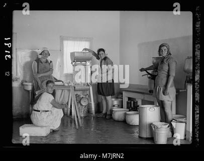 Ein Foto aus Nahalal, das die Mädchen-landwirtschaftliche Ausbildungsschule in Aktion zeigt, wobei Schüler die Cremetrenner in der Milchabteilung der Schule bearbeiten. Stockfoto
