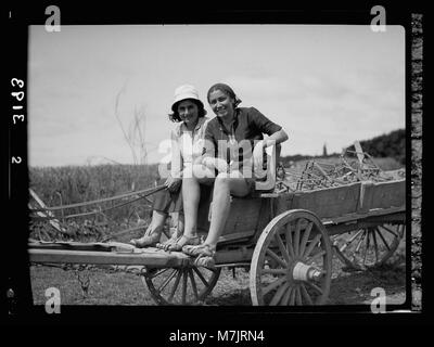 Eine Szene, in der Mädchen in der Nahalal Girls' Agricultural Training School auf dem Weg von der Feldarbeit mit einem Bauernwagen fahren und dabei die landwirtschaftliche Ausbildung betonen. Stockfoto