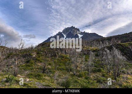 Gipfel und Wälder des gebrannten Lenga Bäumen im Cordon Olguin, Torres del Paine Nationalpark, Patagonien, Chile Stockfoto