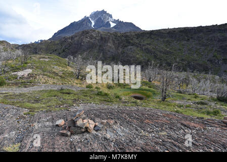 Gipfel und Wälder des gebrannten Lenga Bäumen im Cordon Olguin, Torres del Paine Nationalpark, Patagonien, Chile Stockfoto