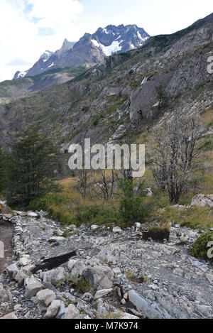 Gipfel und Wälder des gebrannten Lenga Bäumen im Cordon Olguin, Torres del Paine Nationalpark, Patagonien, Chile Stockfoto