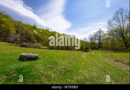 Auf der grünen Wiese unter den Wald anmelden. schöne Natur Landschaft im Frühling Stockfoto