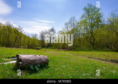 Auf der grünen Wiese unter den Wald anmelden. schöne Natur Landschaft im Frühling Stockfoto