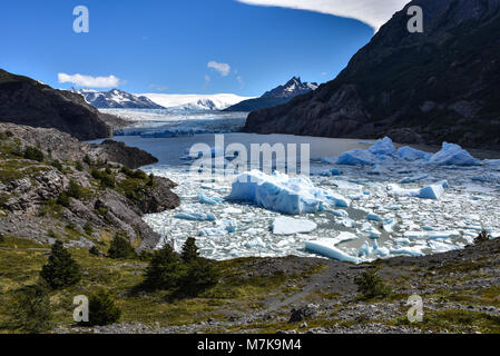 See Grau und den Grey Gletscher im Südlichen Patagonischen Eisfeld, Torres del Paine Nationalpark, Chile Stockfoto