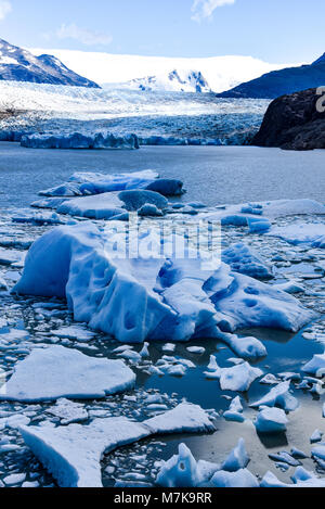 See Grau und den Grey Gletscher im Südlichen Patagonischen Eisfeld, Torres del Paine Nationalpark, Chile Stockfoto