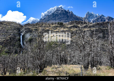 Gipfel und Wälder des gebrannten Lenga Bäumen im Cordon Olguin, Torres del Paine Nationalpark, Patagonien, Chile Stockfoto