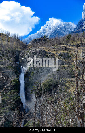 Gipfel und Wälder des gebrannten Lenga Bäumen im Cordon Olguin, Torres del Paine Nationalpark, Patagonien, Chile Stockfoto