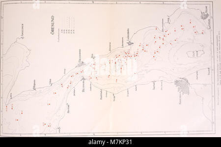 Biologisch-faunistische Untersuchungen aus dem Öresund. V. Polychaeta. Mit Karte und 18 Textfiguren (1920) (20195072899) Stockfoto