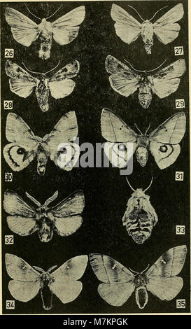 Boletin de la Sociedad de Biología de Concepción (1972) (20361398686) Stockfoto