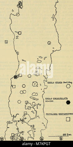 Boletin de la Sociedad de Biología de Concepción (1975) (20379464142) Stockfoto