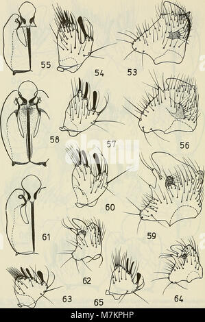 Boletin de la Sociedad de Biología de Concepción (1983) (20362207876) Stockfoto