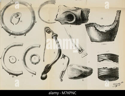 Eine Ausgabe des Bulletins der Adriatischen Gesellschaft für Naturwissenschaften aus Triest aus dem Jahr 1878, das frühe wissenschaftliche Berichte über die natürliche Umwelt, die Meereslebewesen und biologische Studien der Adria-Region enthält. Stockfoto