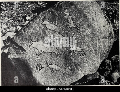 Ein 1972 erschienener Band der Bonner Zoologischen Beiträge aus dem Zoologischen Forschungsinstitut und Museum Alexander Koenig mit zoologischen Forschungsarbeiten und taxonomischen Analysen von Tierarten. Stockfoto