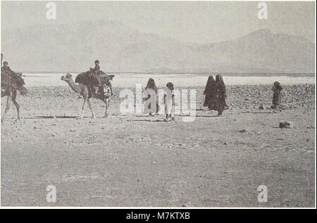Der Band 1990 der Bonner zoologischen Beiträge des Zoologischen Forschungsinstituts und Museums Alexander Koenig präsentiert Forschungen zur zoologischen Taxonomie, Ökologie und Tierbiologie. Stockfoto
