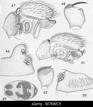 Der Band Bonner zoologische Beiträge aus dem Zoologischen Forschungsinstitut und Museum Alexander Koenig in Bonn enthält 1997 wissenschaftliche Forschungen, die zur Zoologie und Biowissenschaften beitragen. Stockfoto