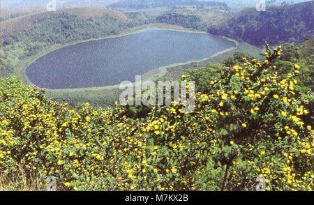 Der 2007 Band „Bonner Zoologische Beiträge“ des Zoologischen Forschungsinstituts und Museums Alexander Koenig in Bonn enthält zoologische Forschungsartikel und wissenschaftliche Erkenntnisse aus der Tierbiologie. Stockfoto