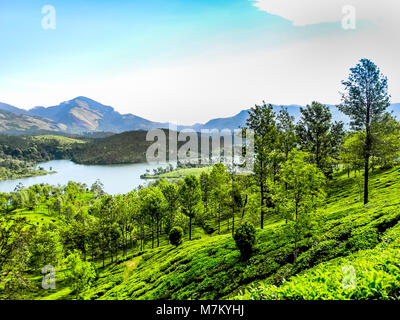 THEKKADI, Kerala, Indien - DEC. 15 2011: Schöne Landschaft mit bunten wilden Wald und Periyar Fluss, Thekkadi, Kerala in Indien. Stockfoto