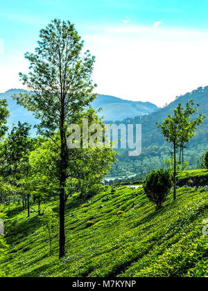 THEKKADI, Kerala, Indien - DEC. 15 2011: Schöne Landschaft mit bunten wilden Wald und Periyar Fluss, Thekkadi, Kerala in Indien. Stockfoto