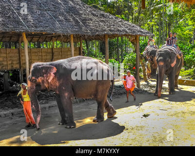 Kumily, Kerala, Indien - DEC. 15, 2011: Touristen, Elefanten reiten auf Elefanten im Periyar Nationalpark in Thekkady, Kerala, Indien. Stockfoto