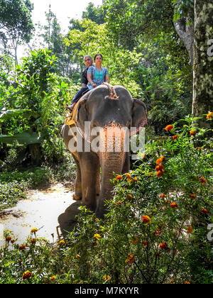 Kumily, Kerala, Indien - DEC. 15, 2011: Touristen, Elefanten reiten auf Elefanten im Periyar Nationalpark in Thekkady, Kerala, Indien. Stockfoto