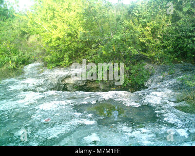 Die Cenote de Sierra Papacal in Yucatán, Mexiko, ist ein natürliches Sinkloch mit klarem blauem Wasser, umgeben von tropischer Vegetation, das die für die Region typische Karstgeologie veranschaulicht. Stockfoto
